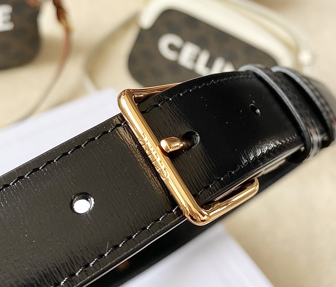 Ce**e belt bag triomphe belt in shiny calfskin