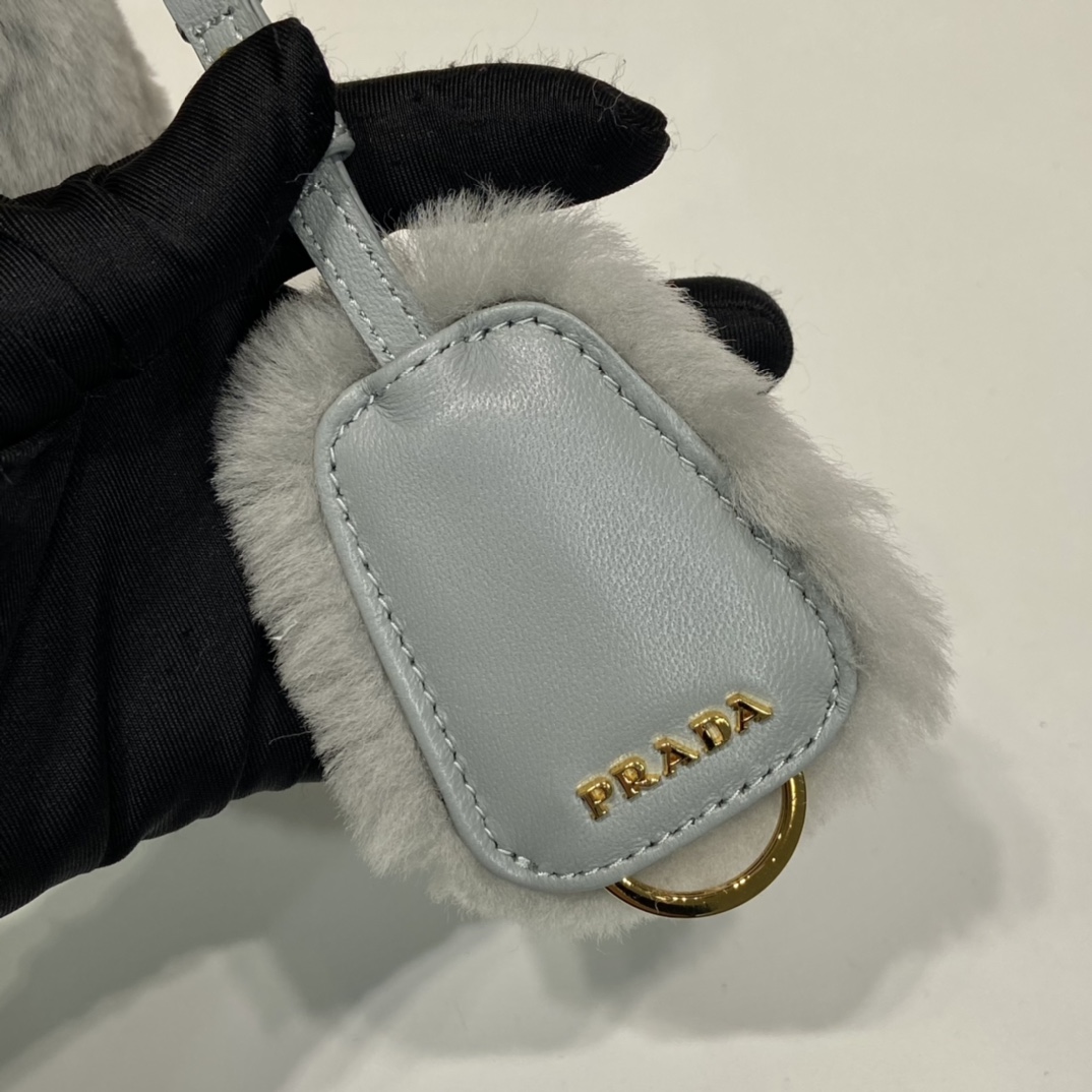 Pra*a re-edition 1995 hobo bag