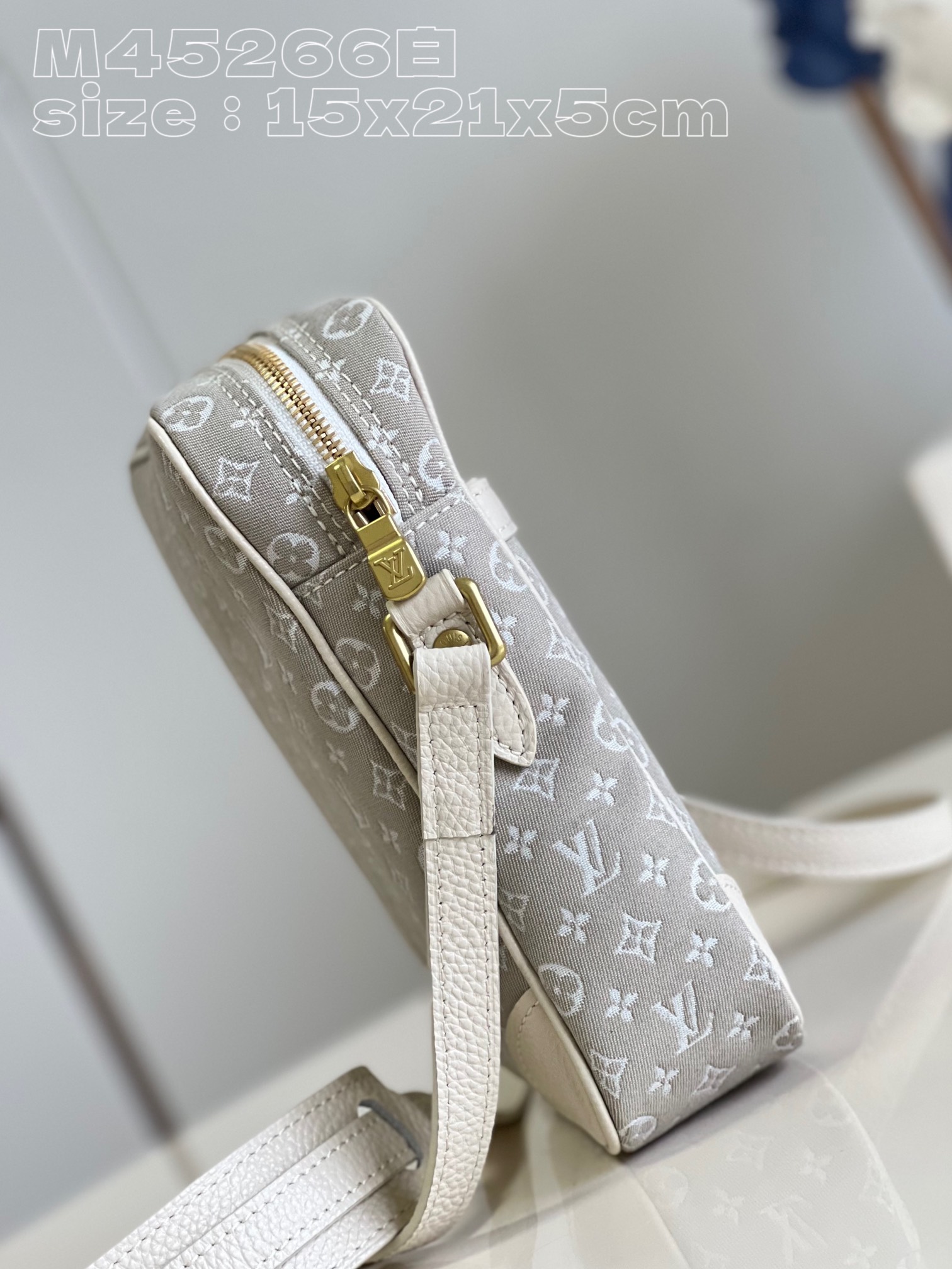 l**is V*t*n danube shoulder bag
