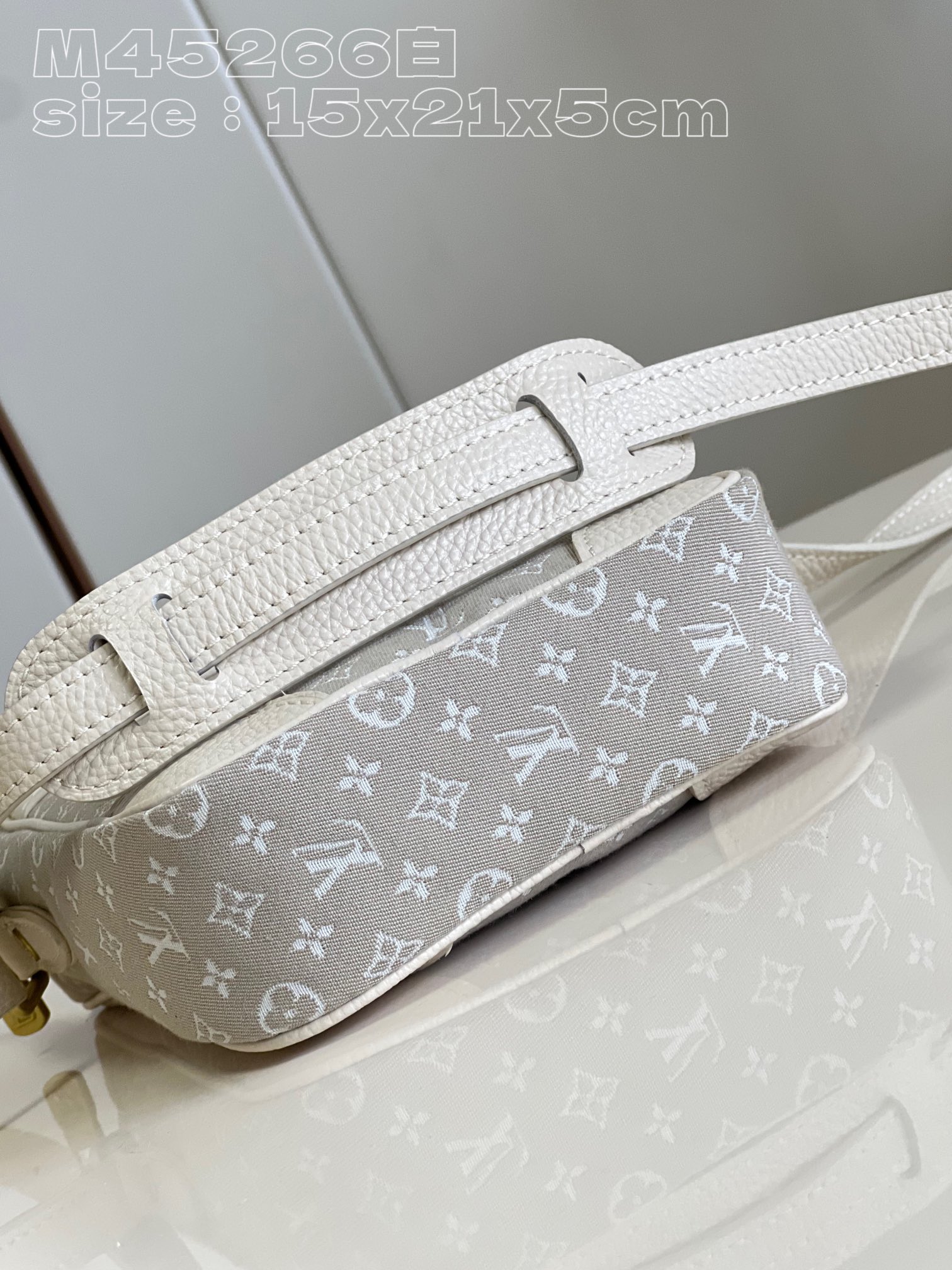 l**is V*t*n danube shoulder bag