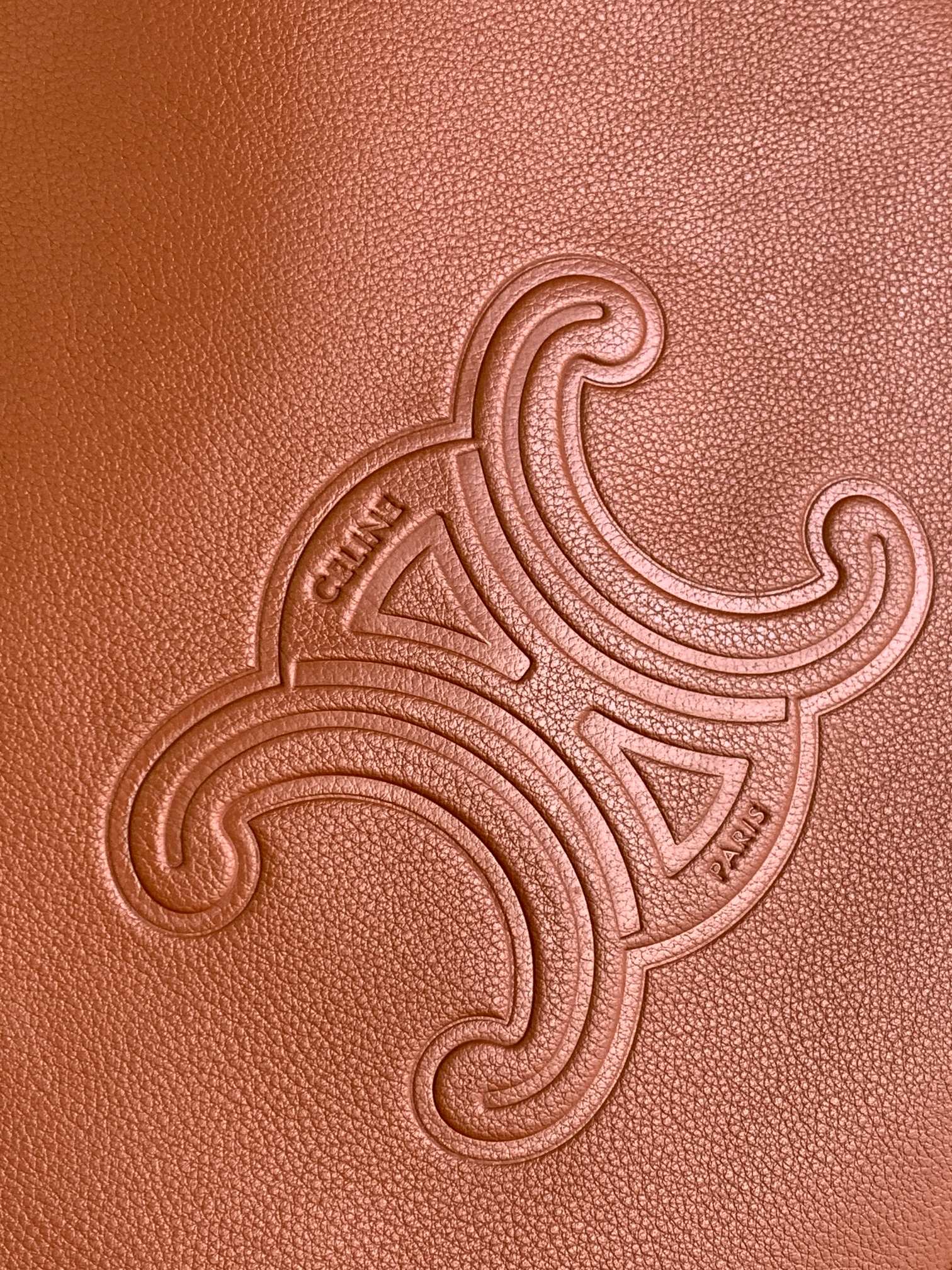 ce**e heloise bag in S*pple calfskin moon