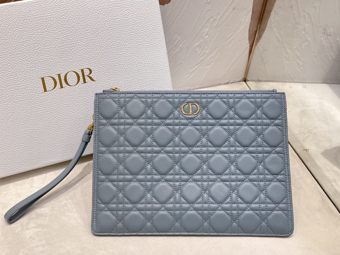 large D*or caro daily pouch