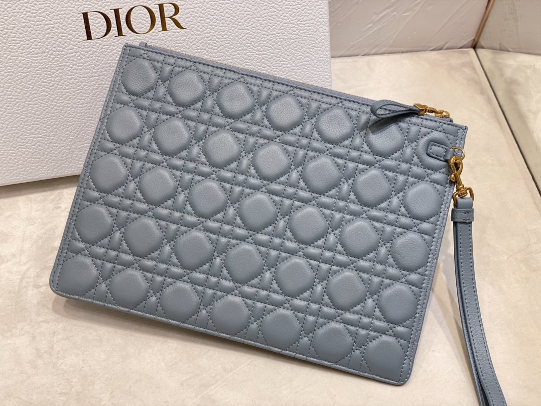 large D*or caro daily pouch