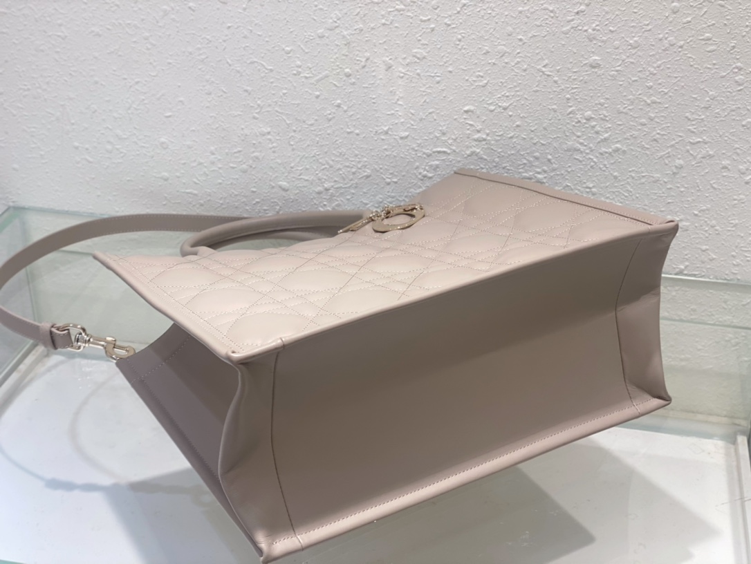 medium D*or book tote