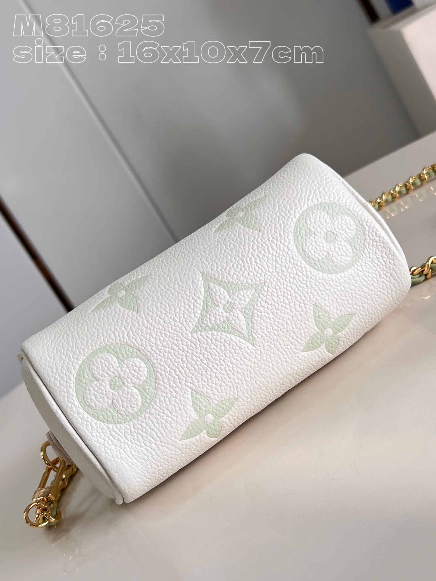 l**is V*t*n nano speedy handbag
